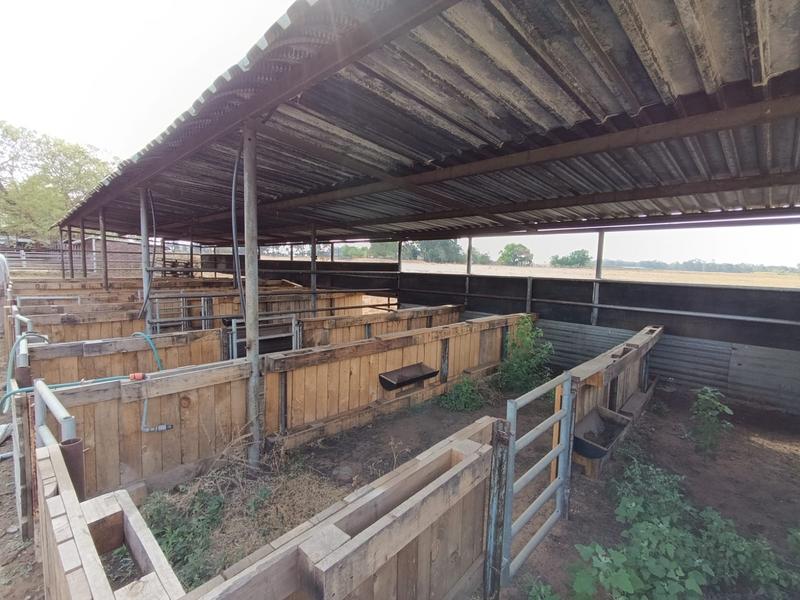 4 Bedroom Property for Sale in Middelburg Eastern Cape
